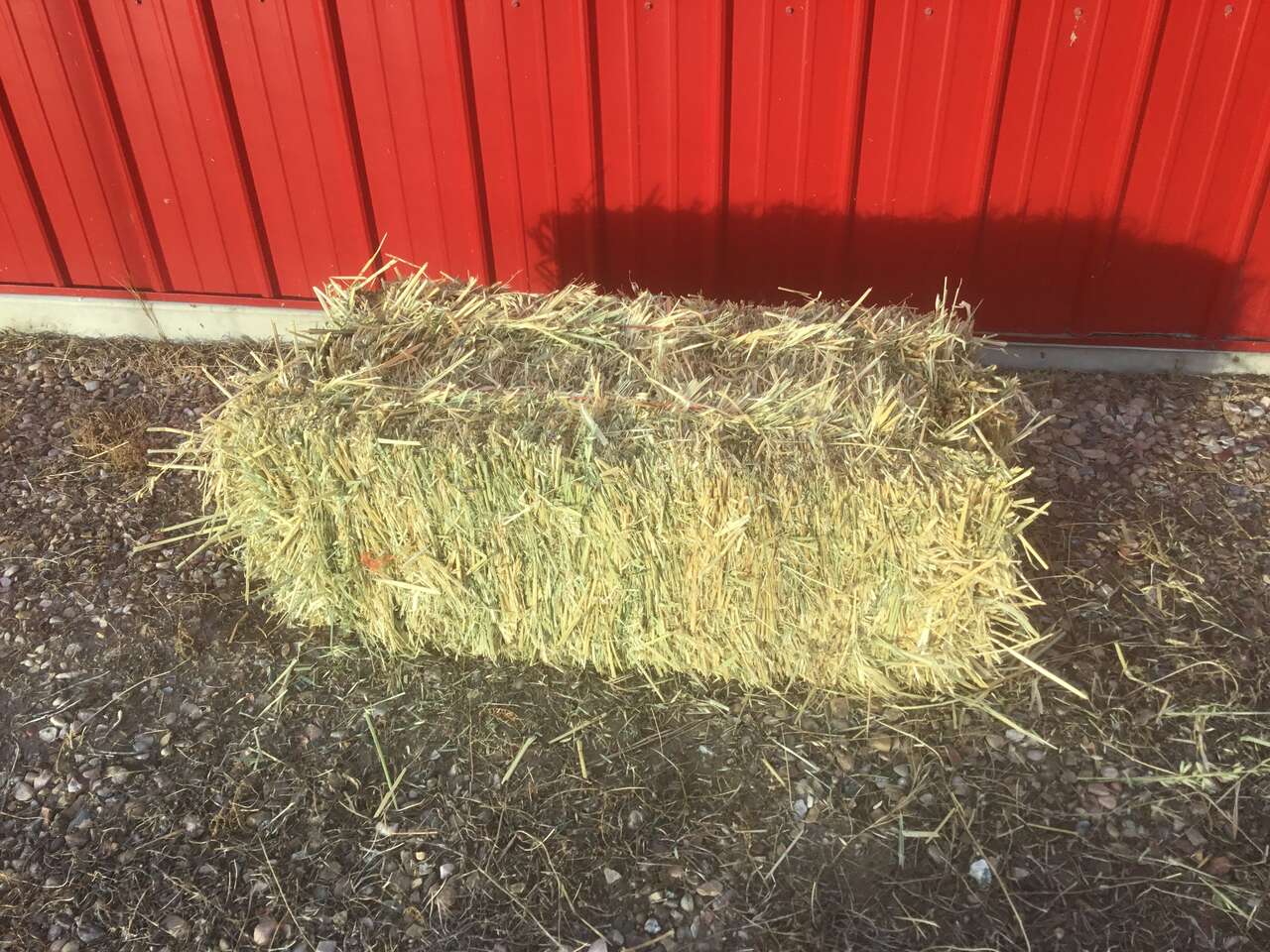Oat hay Livestock
