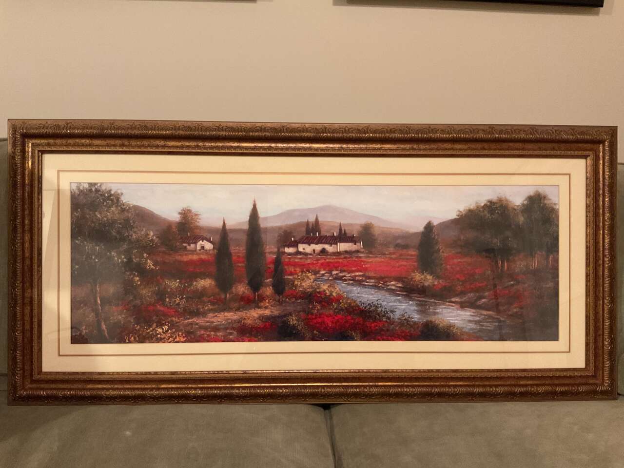 44” X 20” Picture