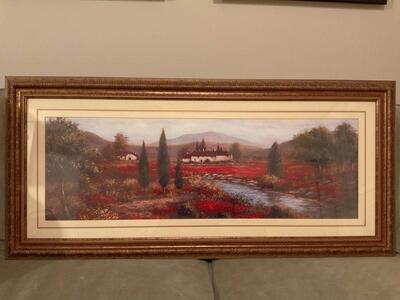 44” X 20” Picture