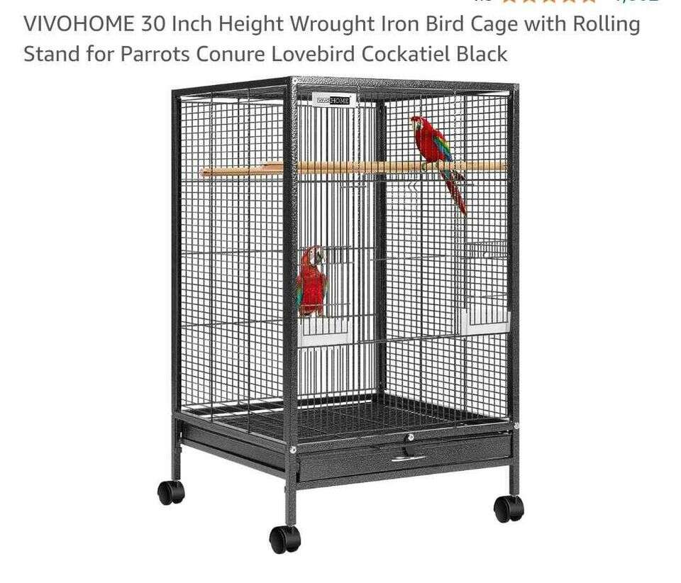 BIRDS WITH BIG CAGE FOR SALE Pets