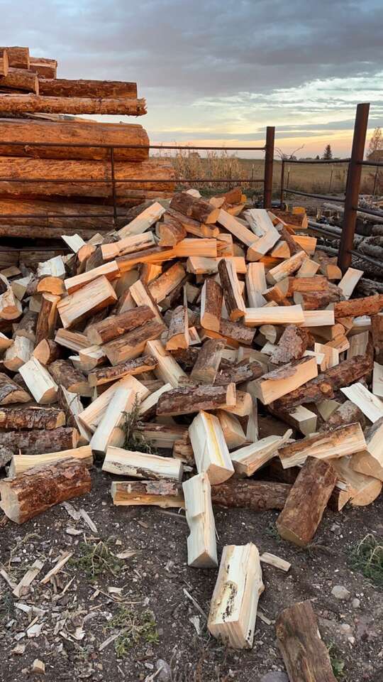 PINE FIREWOOD
