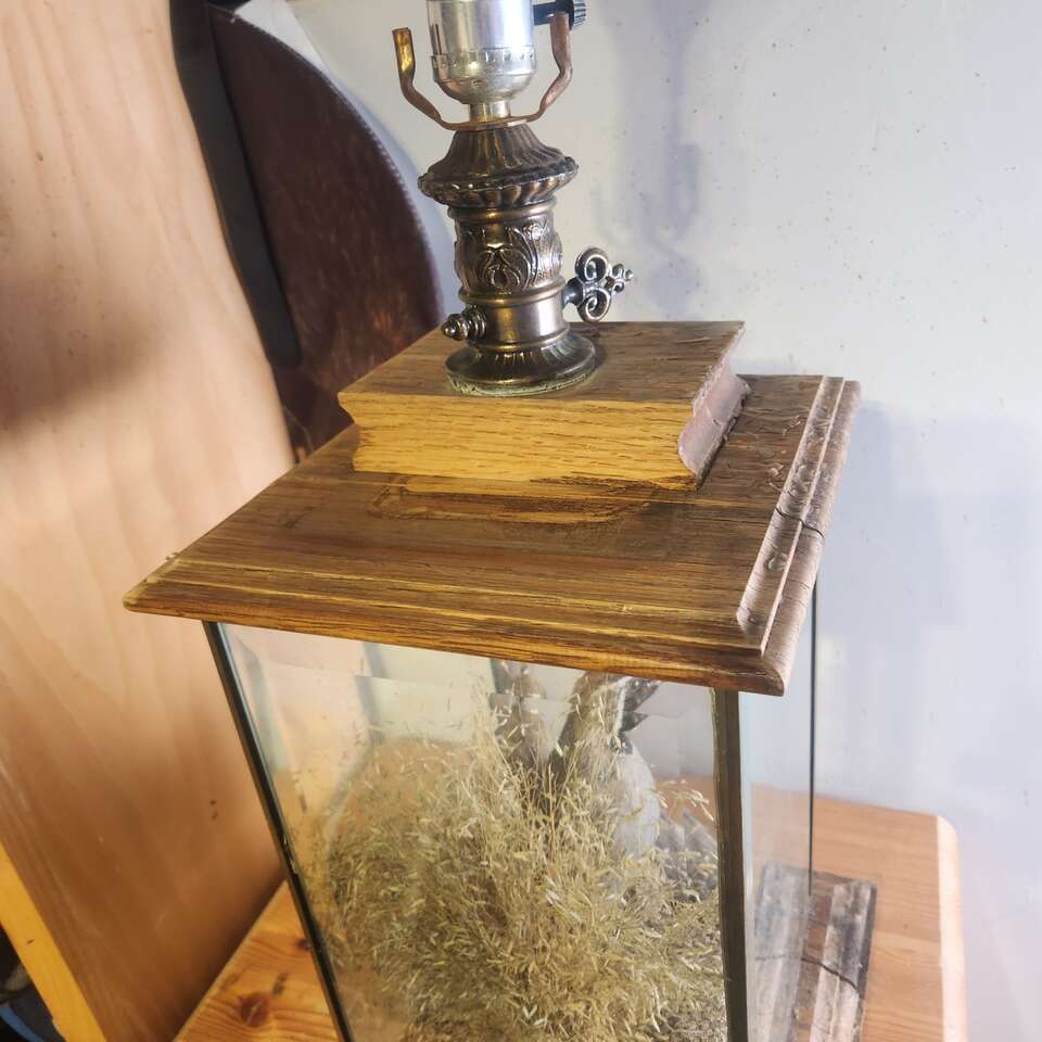 The Wildlife Collection Quail Taxidermy Lamp