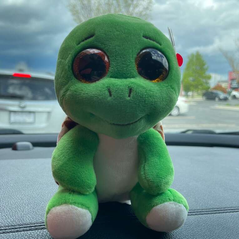 6” Ty Beanie Boo Turbo The Turtle