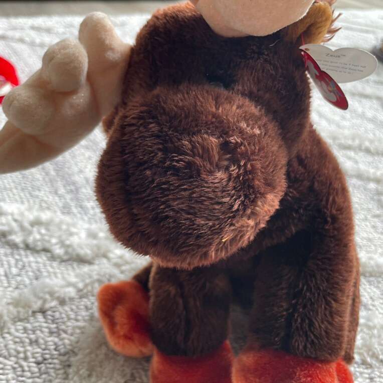 Ty Beanie Buddy Zeus Moose