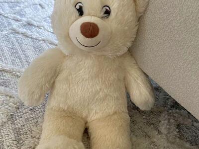 Build A Bear Teddy Bear