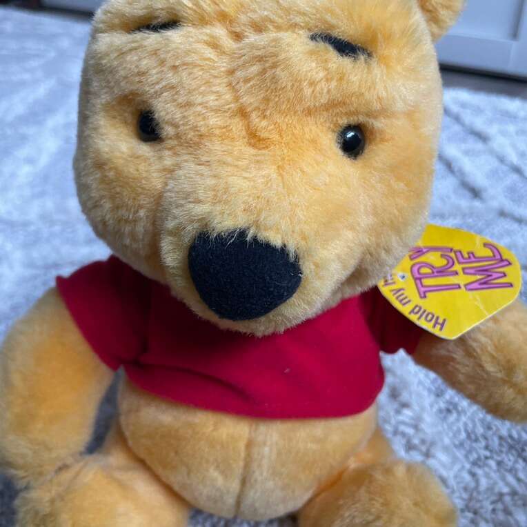 Collectable Animated Talking Winnie The Pooh Bear