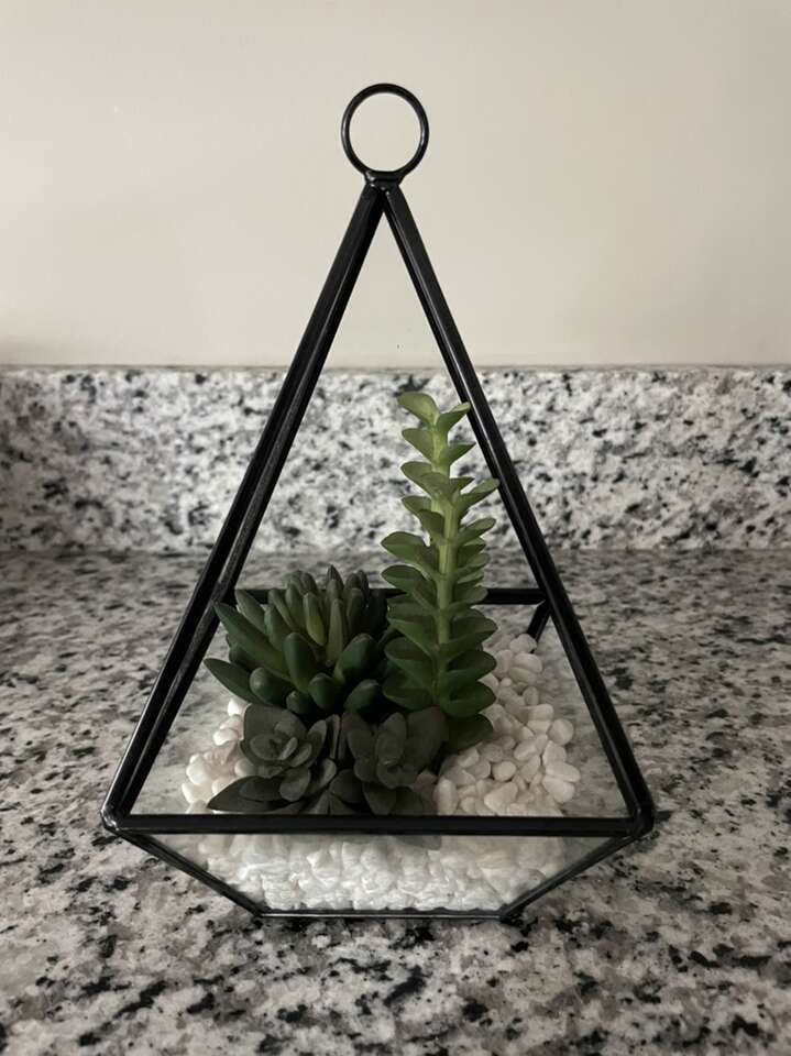 Mainstays 7” Artificial Succulent Metal Terrarium
