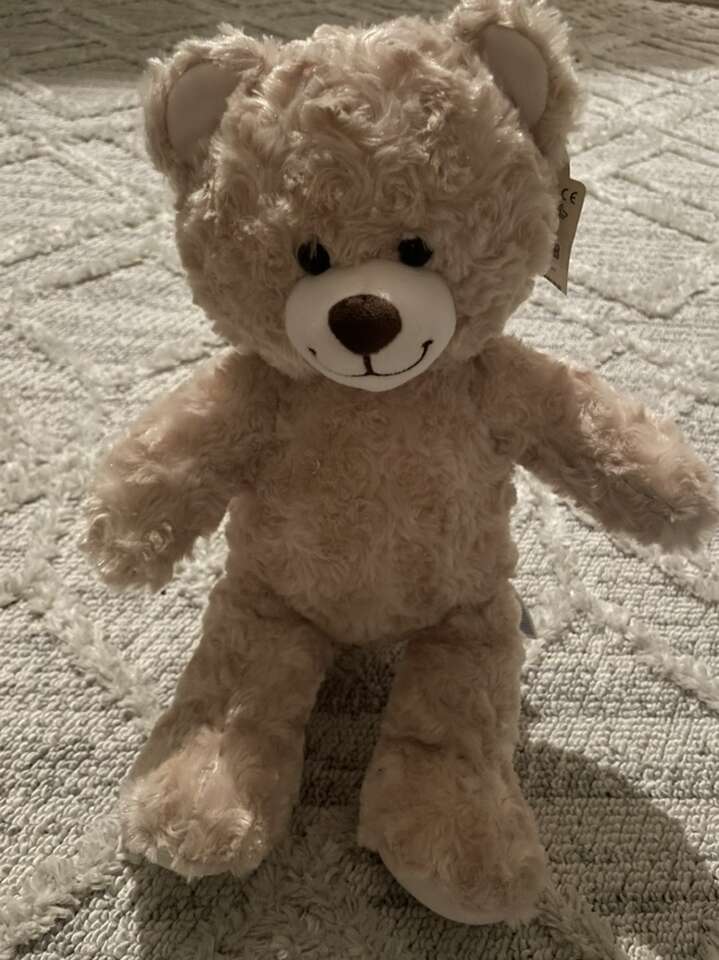 New With Tag! Build A Bear Teddy Bear