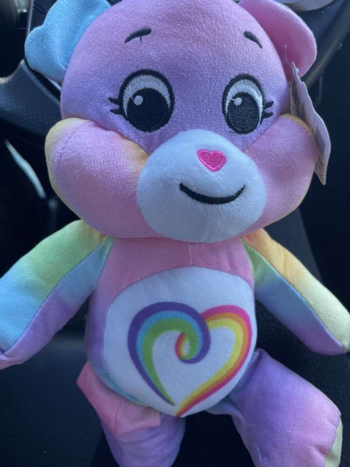 New Care Bear 9” Plush Togetherness Bear 2021
