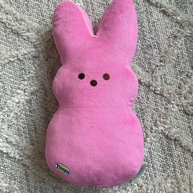 Build A Bear Pink Bunny Peep