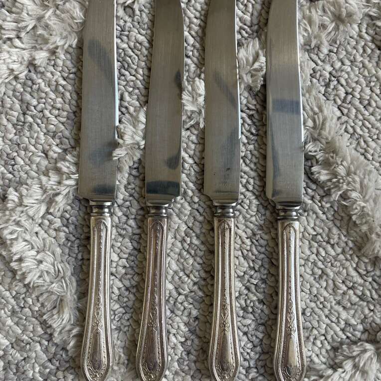 4 Piece Vintage Deluxe Stainless Knives