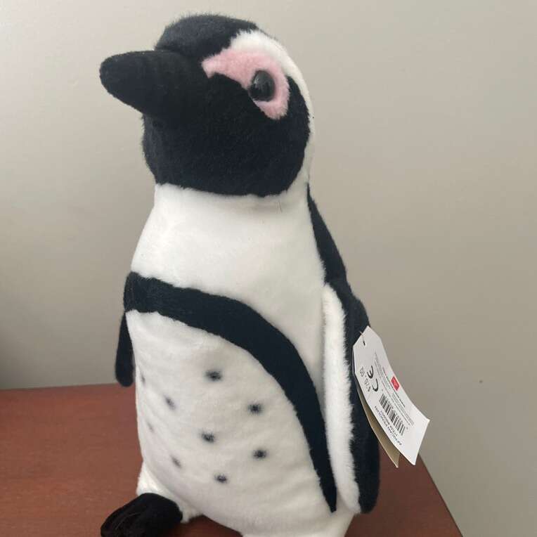 African Black-footed Penguin Plush