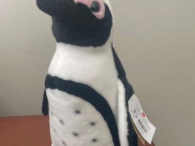 African Black-footed Penguin Plush