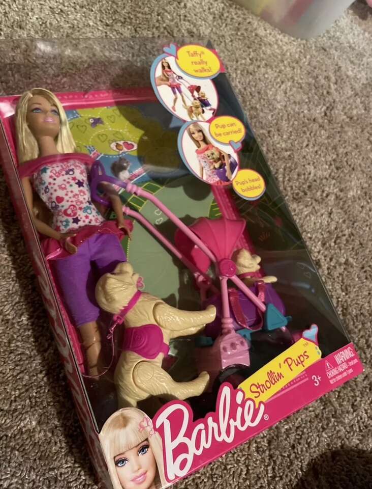 New! 2010 Mattel Barbie Doll Strollin Pups Taffy