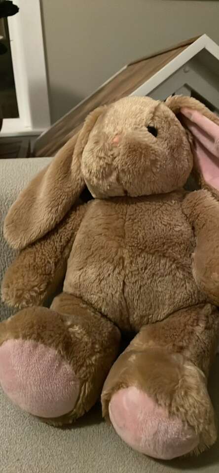 Bunny Build A Bear 14 Inch Furry Tan Rabbit Plush