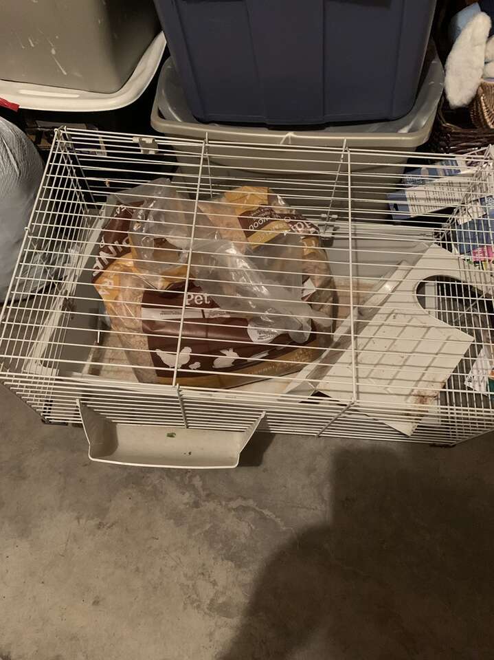 Guinne Pig Cage, House, Water Bottle, Food Bowl