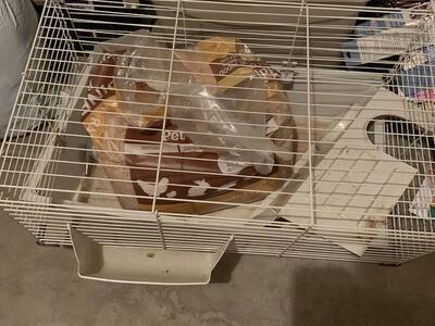 Guinne Pig Cage, House, Water Bottle, Food Bowl