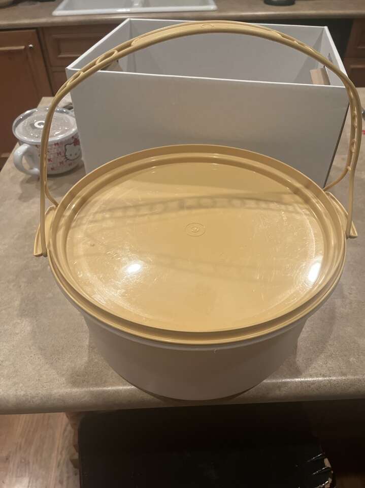 Tupperware Container With Carrying Handle