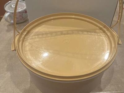 Tupperware Container With Carrying Handle