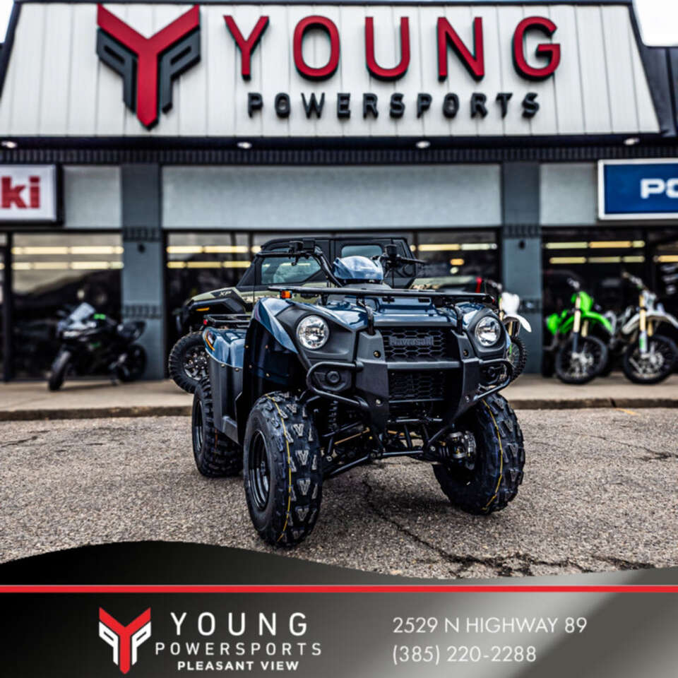 2025 Kawasaki Brute Force® 300