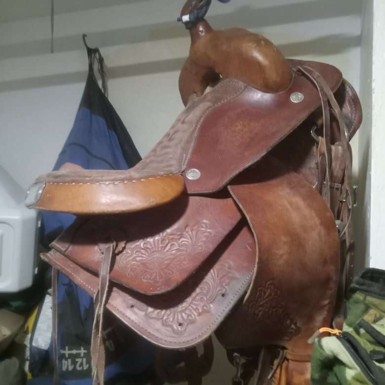 Western saddle Livestock