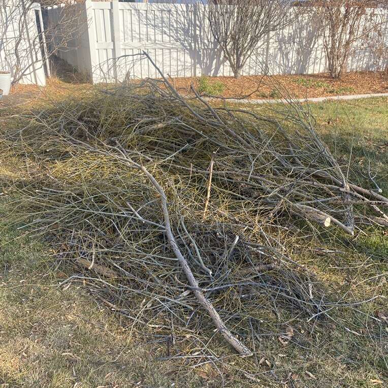 Fire Wood And Sticks 30 FREE