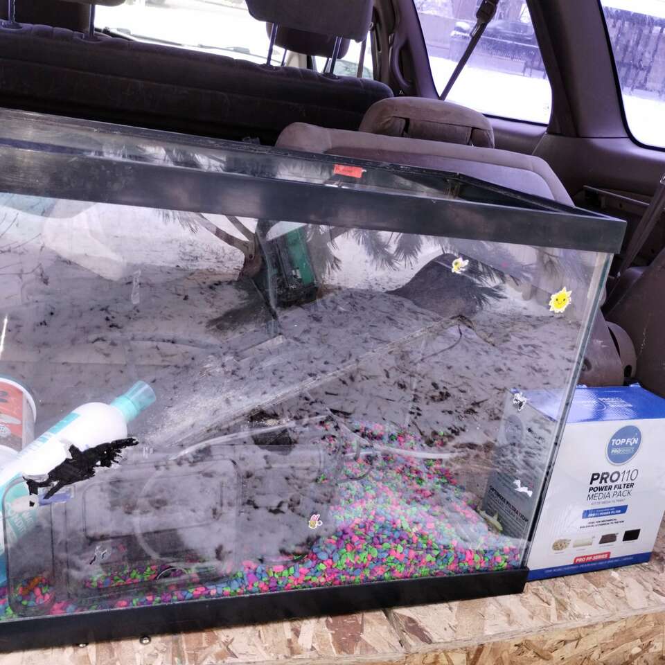 25 gallon fish tank Pets