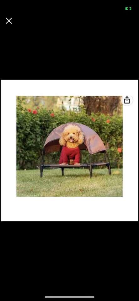 Elevated Cat Or Dog Bed With Canopy,