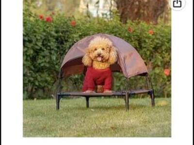 Elevated Cat Or Dog Bed With Canopy,