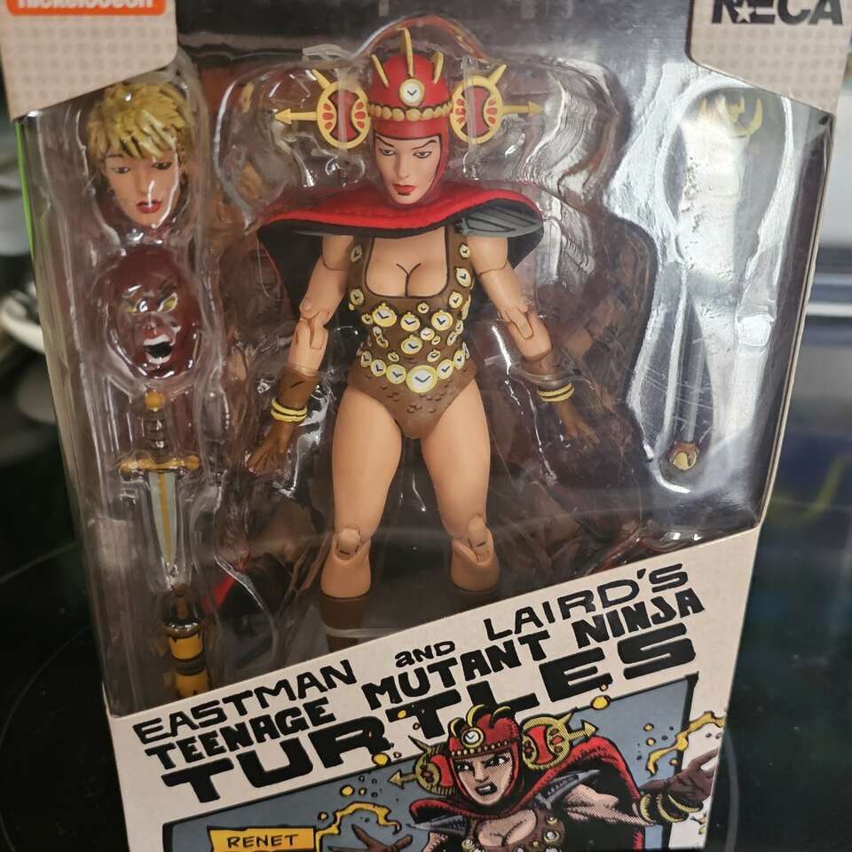 TMNT eastman and lairds figue