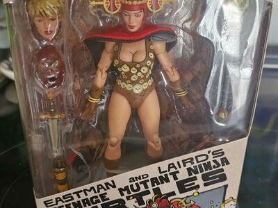 TMNT eastman and lairds figue