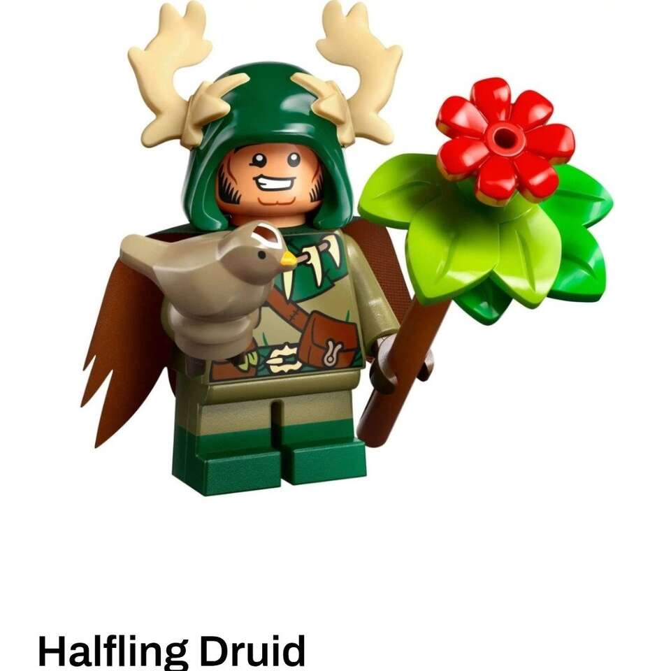 D&D lego mini figurs