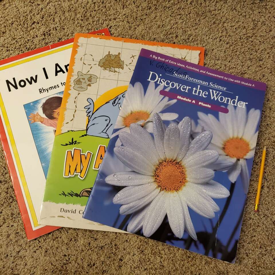 3 Large Picture Books Homeschool Teacher
