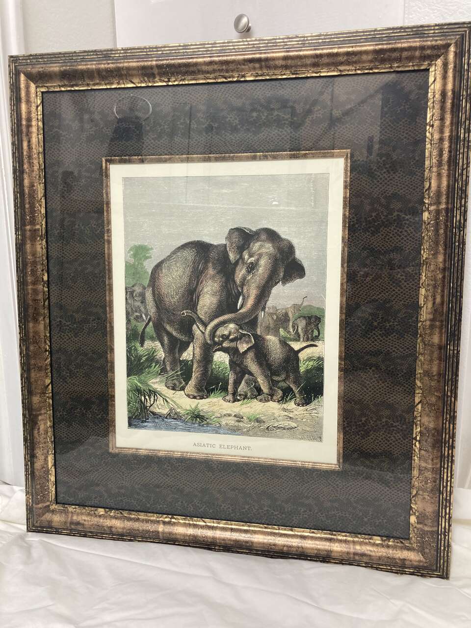 Franklin Picture Company Hand Colored Engraving Framed Of An Elephant