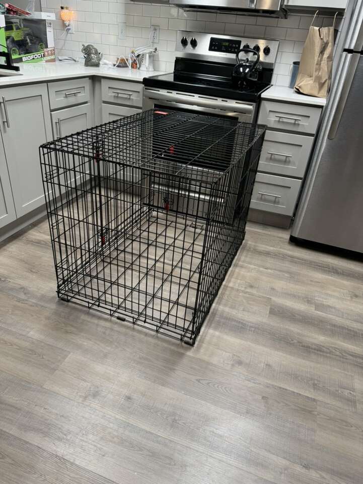 Large Kong Dog Kennel Pets