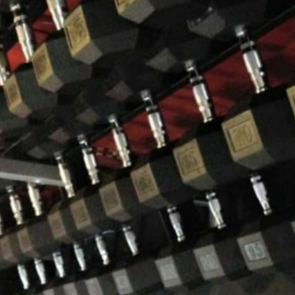 10-65# Commercial Rubber Dumbbells (Hex) *dbh*