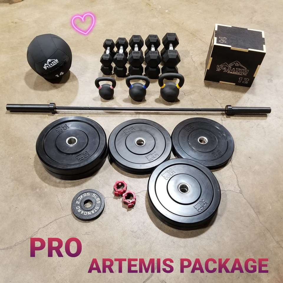 PRO Bar/Bumpers Dumbbells & Kettlebells Package