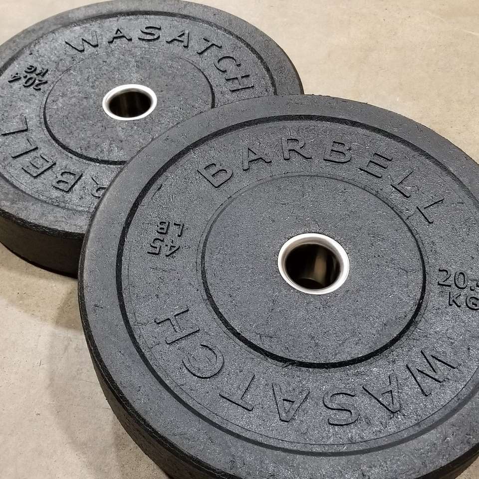 45LB PAIR Elite Wasatch Crumb Bumper Plates *bpw