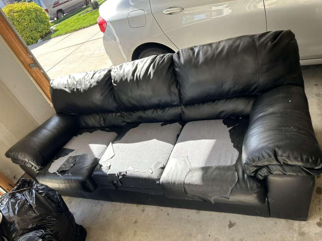 Couch FREE