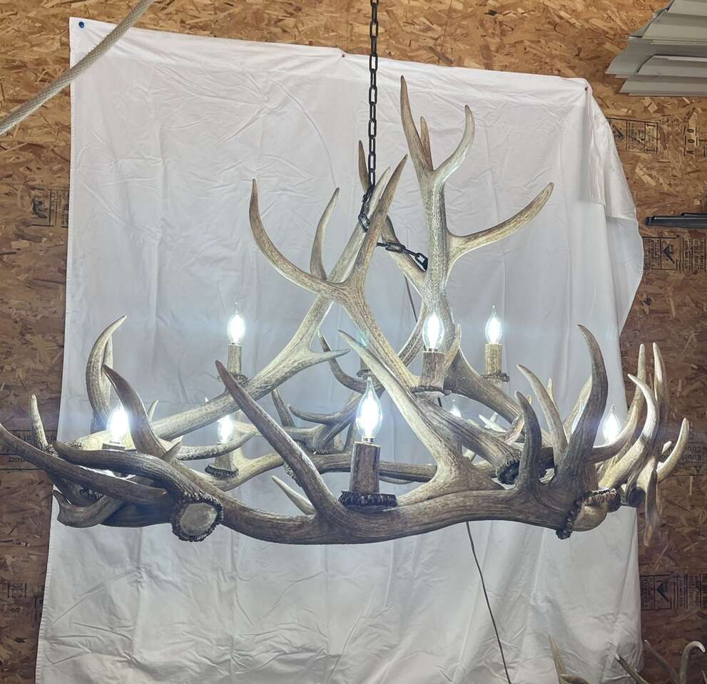 Authentic Elk Antler Chandelier