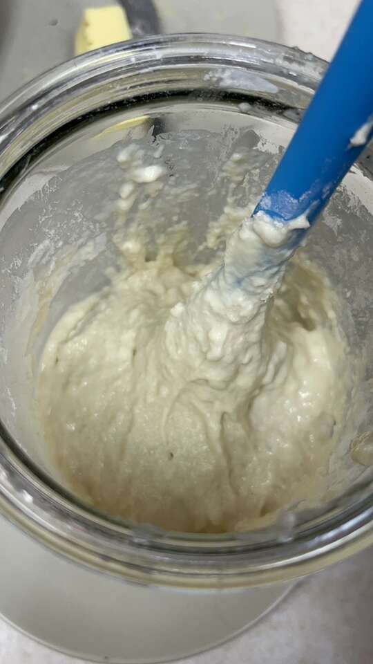 Dehydrated Sourdough Starter