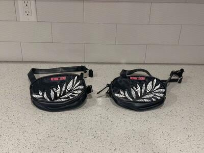 New Victoria's Secret Fanny Packs $20 Each