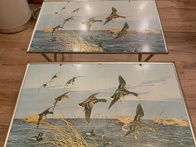 Vintage Mallard Tv/serving Trays