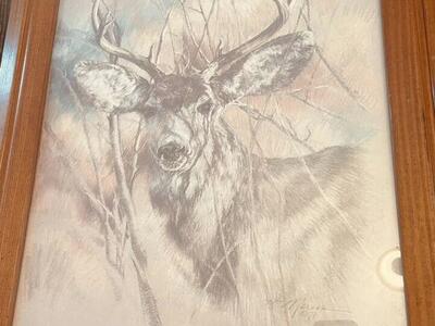 Silent Buck Vintage Print
