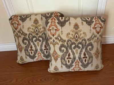 Set Of Two 20” x 20” Ikat Feather Pillows
