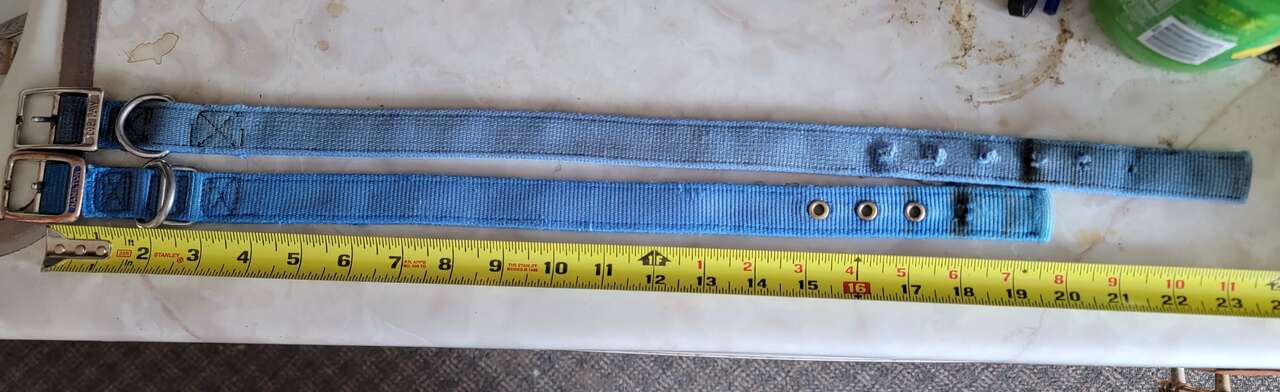2 USED DOG COLLARS 1 19.5" 1 23.5"