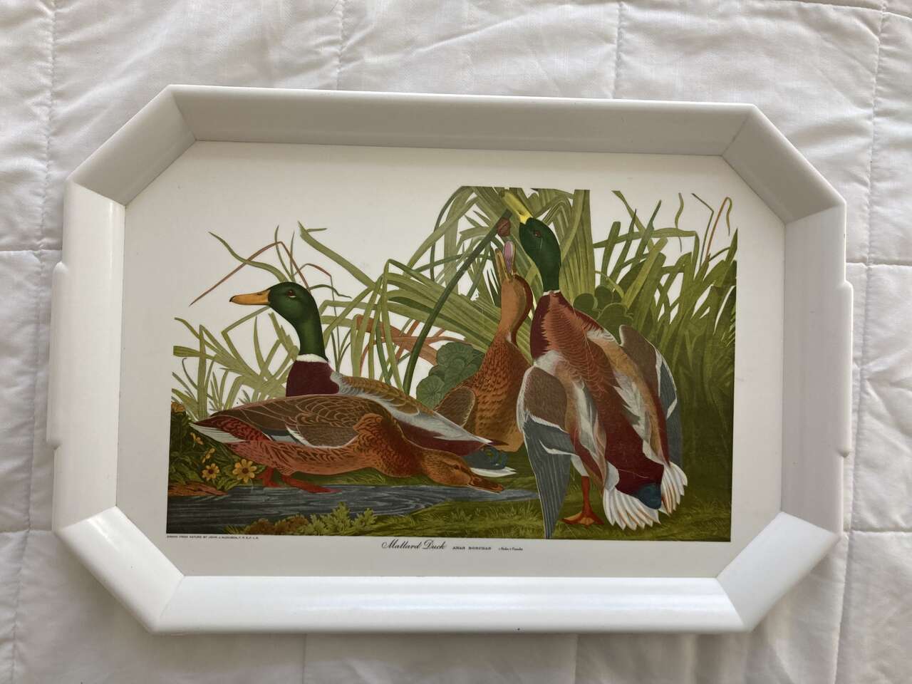 Vintage Mallard Duck Tray