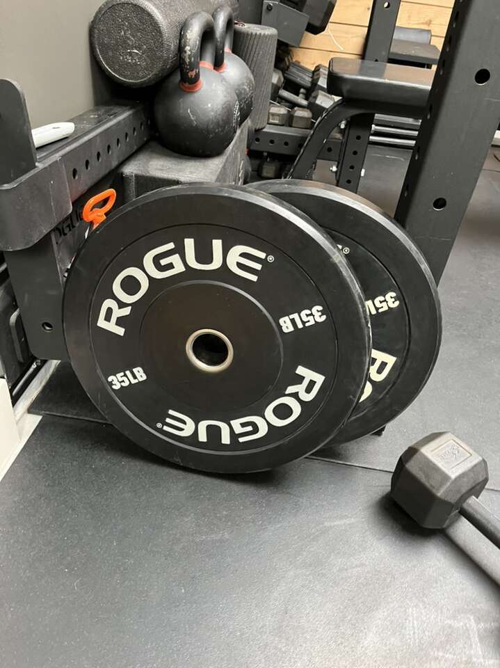 New Rogue Echo V2 Bumper Plates 35 Pound Pair