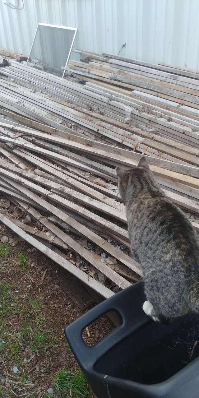 1x2 Project Wood Fir Strips Up to 16'