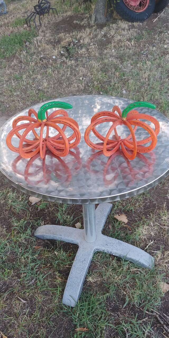 Horseshoe Pumpkins Two Available